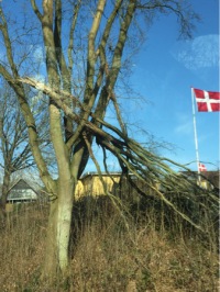Entreprenørgården Aabenraa Kommune